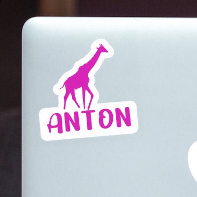 Aufkleber Giraffe Anton Image