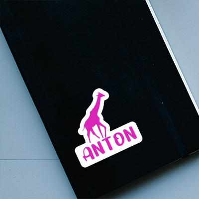 Autocollant Anton Girafe Gift package Image