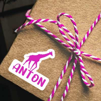 Aufkleber Giraffe Anton Gift package Image