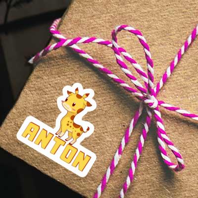 Sticker Anton Giraffe Gift package Image