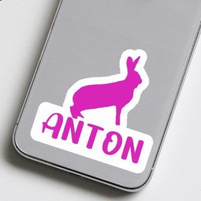 Sticker Anton Rabbit Image