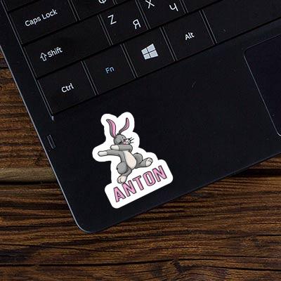 Lapin Autocollant Anton Laptop Image