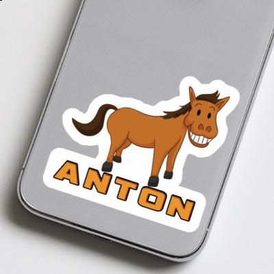 Pferd Sticker Anton Gift package Image