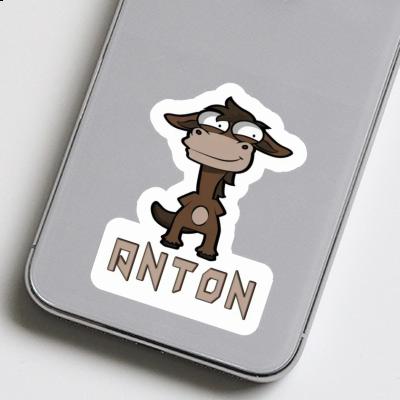 Sticker Anton Pferd Gift package Image