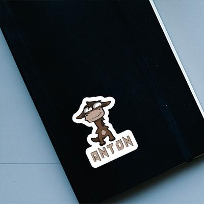 Sticker Anton Pferd Notebook Image