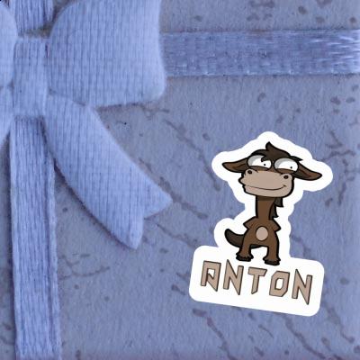 Sticker Anton Pferd Laptop Image