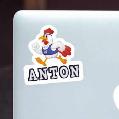 Chicken Sticker Anton Gift package Image