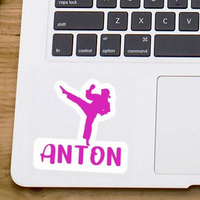 Karateka Aufkleber Anton Gift package Image