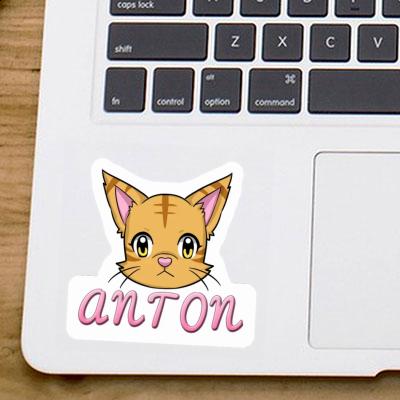 Chaton Autocollant Anton Gift package Image