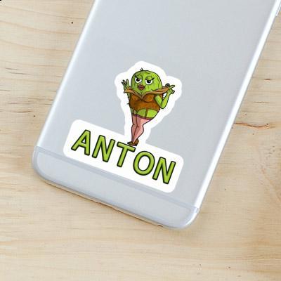 Sticker Kiwi Anton Gift package Image