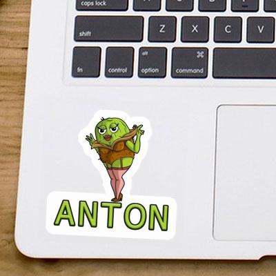 Anton Sticker Kiwi Laptop Image