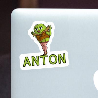 Sticker Kiwi Anton Image