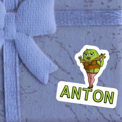 Sticker Kiwi Anton Laptop Image