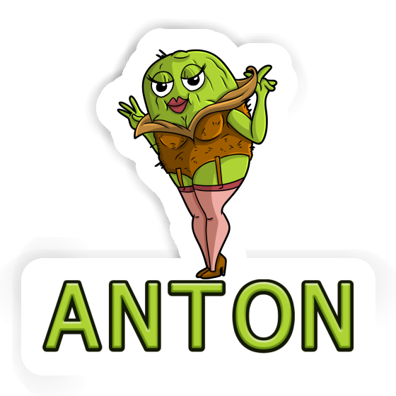 Sticker Kiwi Anton Notebook Image