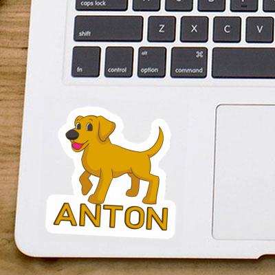 Aufkleber Labrador Anton Gift package Image