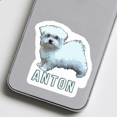 Anton Sticker Maltese Laptop Image