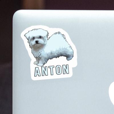 Sticker Malteser Anton Laptop Image