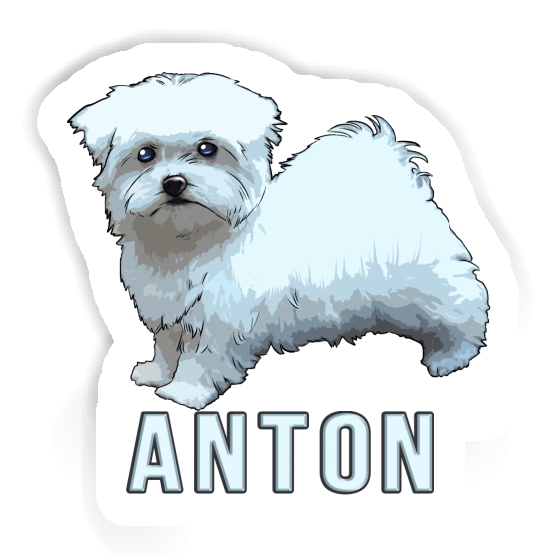 Sticker Malteser Anton Gift package Image