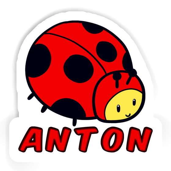 Anton Sticker Marienkäfer Gift package Image