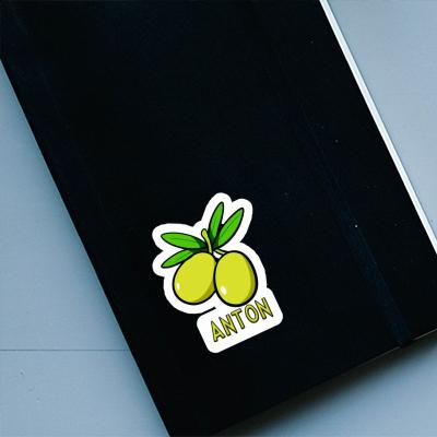 Sticker Anton Olive Laptop Image