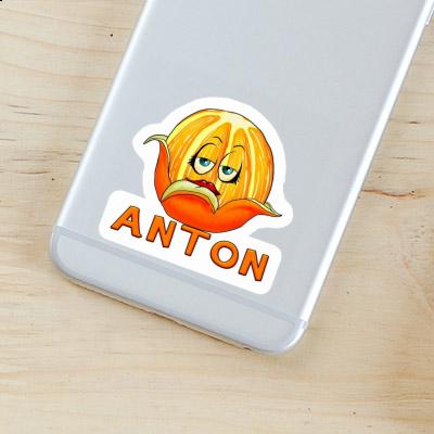 Orange Sticker Anton Laptop Image