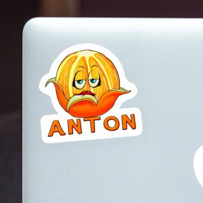 Autocollant Orange Anton Laptop Image