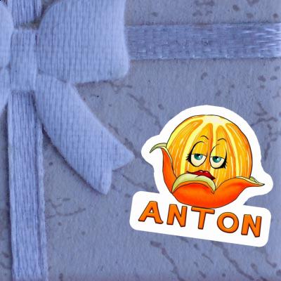 Orange Sticker Anton Gift package Image