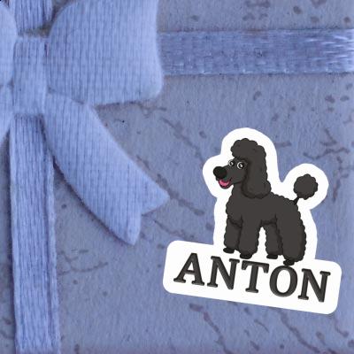 Pudel Aufkleber Anton Gift package Image