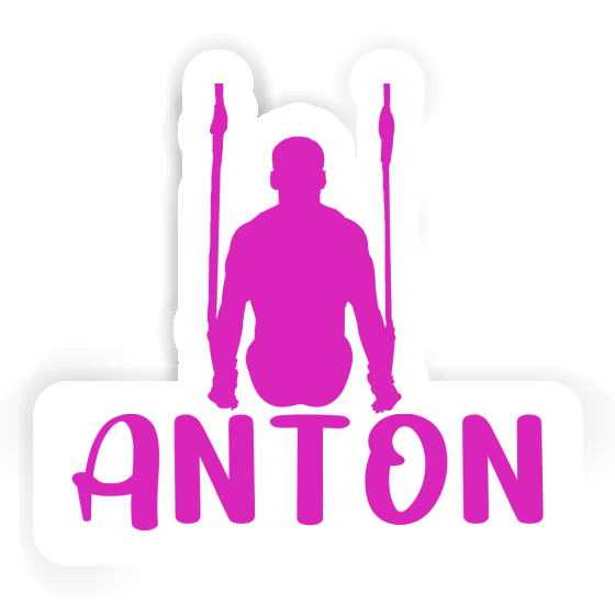 Ringturnerin Aufkleber Anton Gift package Image