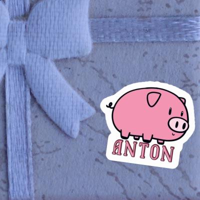 Cochon Autocollant Anton Gift package Image