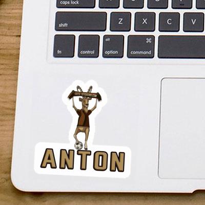 Anton Sticker Capricorn Notebook Image