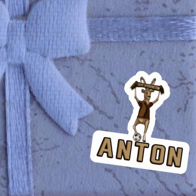 Anton Sticker Capricorn Gift package Image