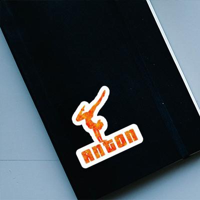 Sticker Anton Yoga-Frau Laptop Image