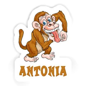 Sticker Antonia Ape Image