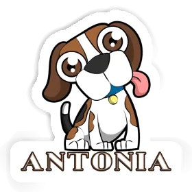 Sticker Beagle Antonia Image