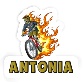 Sticker Freeride Biker Antonia Image