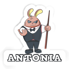 Sticker Antonia Billiard Player Image