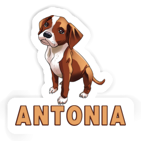 Aufkleber Boxerhund Antonia Image