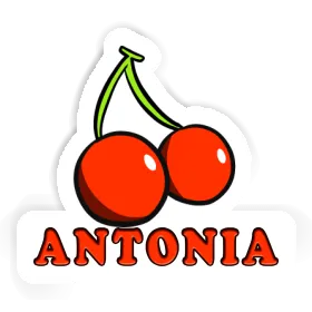 Sticker Antonia Cherry Image