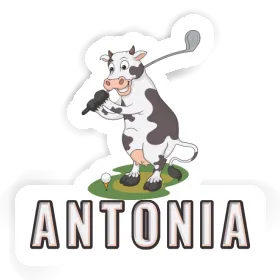 Cow Sticker Antonia Image