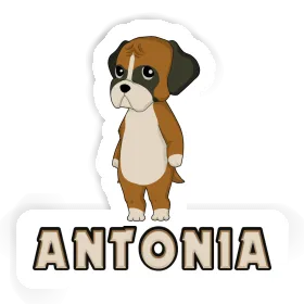 Sticker German Boxer Antonia Image