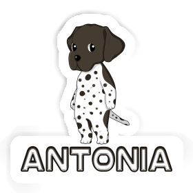 Antonia Sticker GSP Image