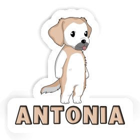 Antonia Sticker Golden Retriever Image