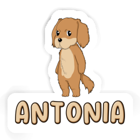 Hovawart Sticker Antonia Image