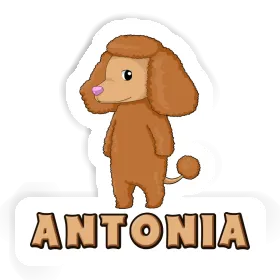 Antonia Autocollant Caniche Image