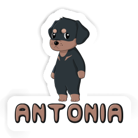 Sticker Rottweiler Antonia Image