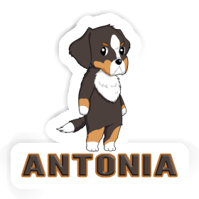 Bernese Mountain Dog Sticker Antonia Image