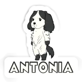 Aufkleber Antonia English Cocker Spaniel Image