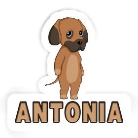 Sticker Antonia German Mastiff Image