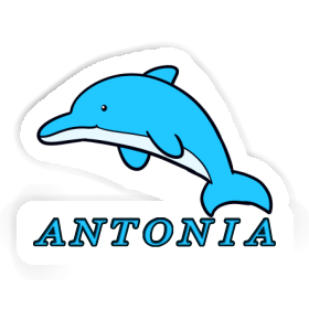 Antonia Sticker Dolphin Image